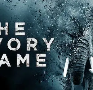 Rồng Ẩn Rồng Ẩn